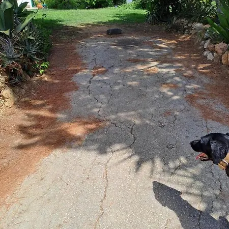 Apartman Traquility At Fonte Coberta