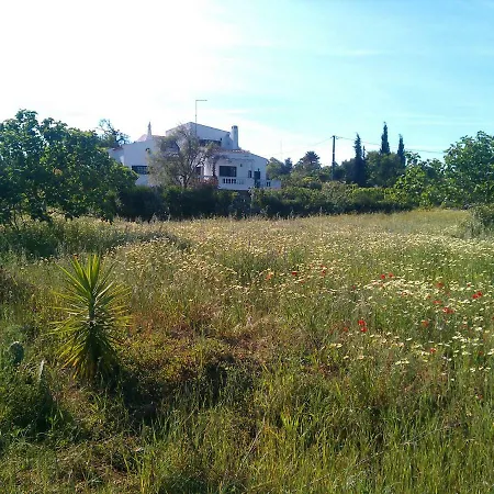 Traquility At Fonte Coberta *