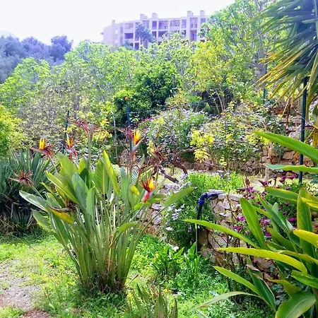 Traquility At Fonte Coberta דירה לאגוּ‏ש