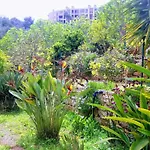 Traquility At Fonte Coberta Апартаменты Лагуш