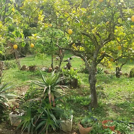 Traquility At Fonte Coberta