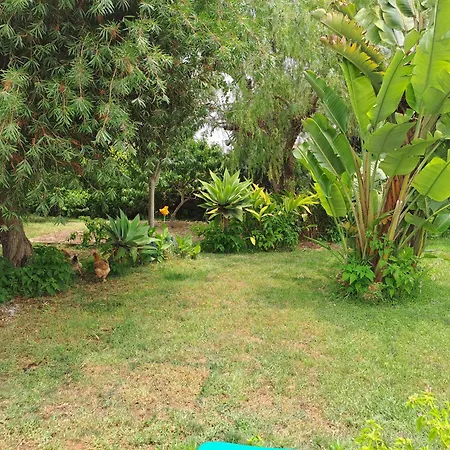 Traquility At Fonte Coberta Lägenhet