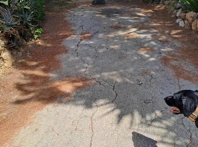 アパート Traquility At Fonte Coberta