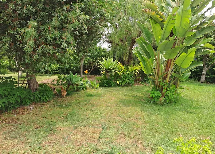 Traquility At Fonte Coberta アパート