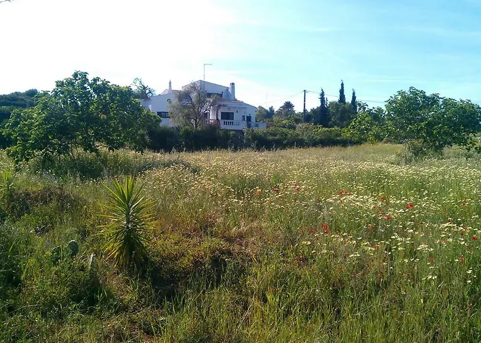 Traquility At Fonte Coberta *