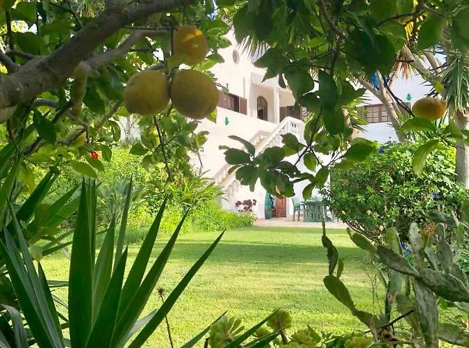 Traquility At Fonte Coberta * ラゴス