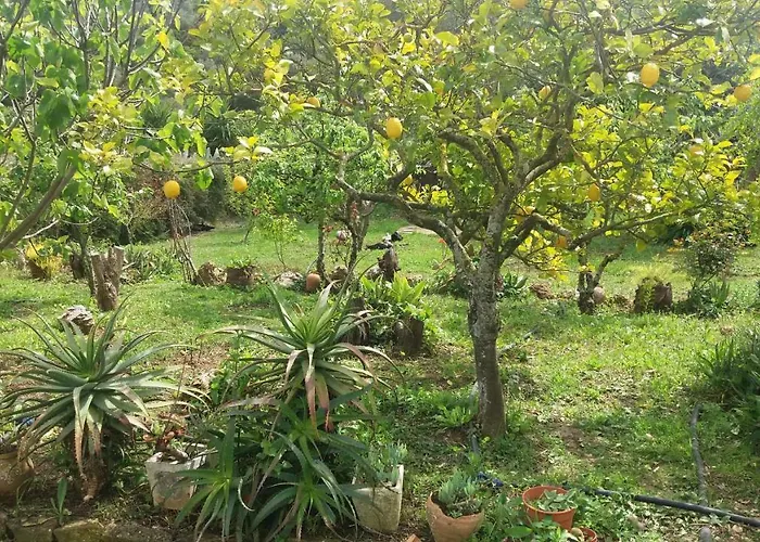 Traquility At Fonte Coberta